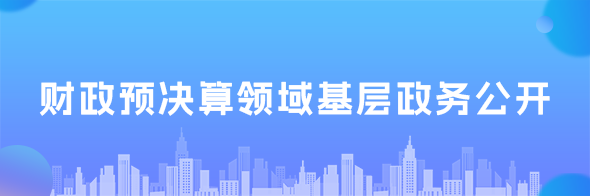 財政預(yù)決算